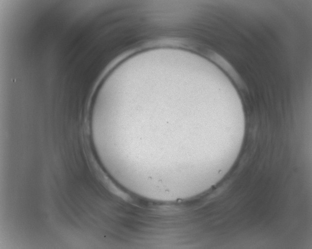 X0000081291436200702082007