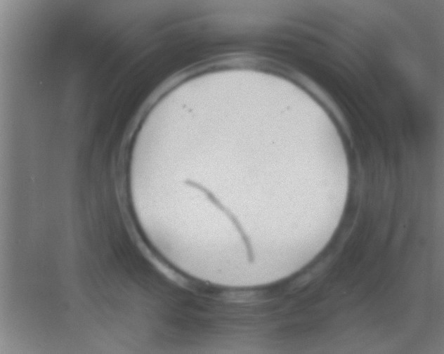 X0000081291437200702082007