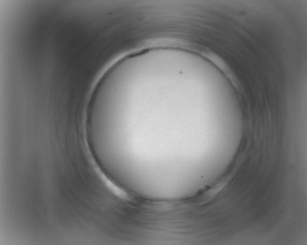 X0000081291438200702082007