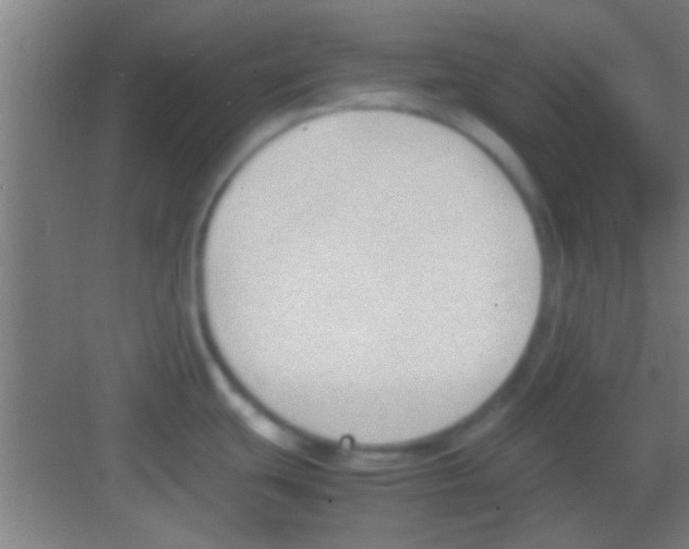 X0000081291439200702082007