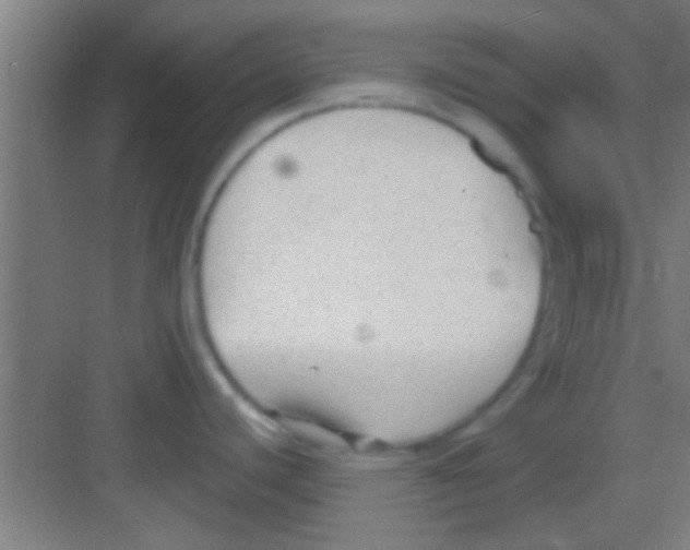 X0000081291440200702082007