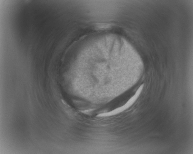 X0000081291441200702082006