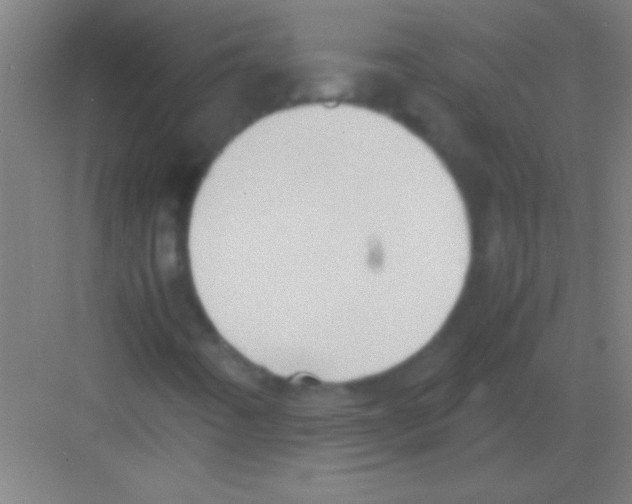 X0000081291442200702082006