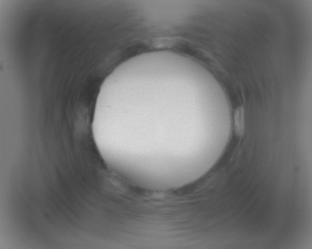 X0000081291443200702082006