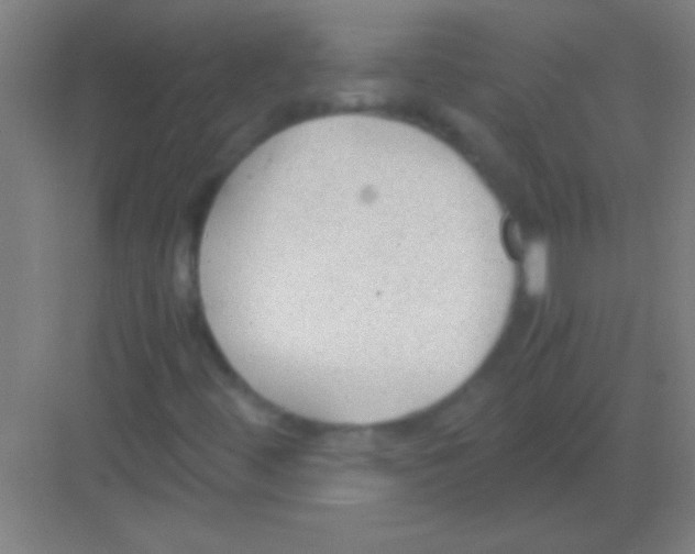 X0000081291444200702082006