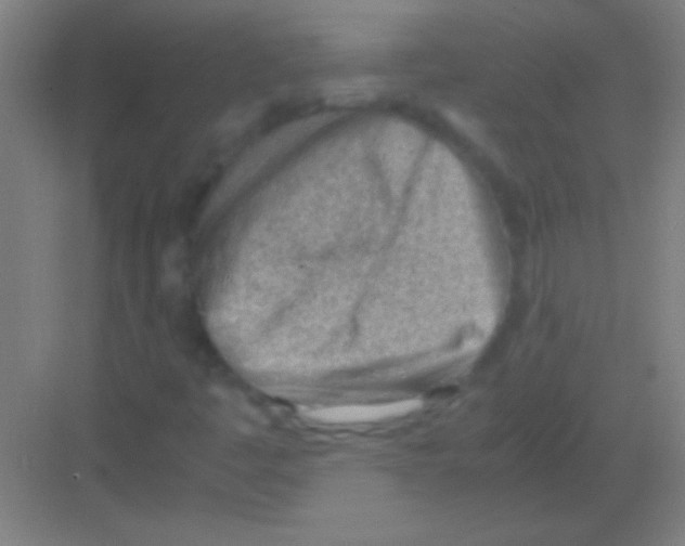 X0000081291445200702082006