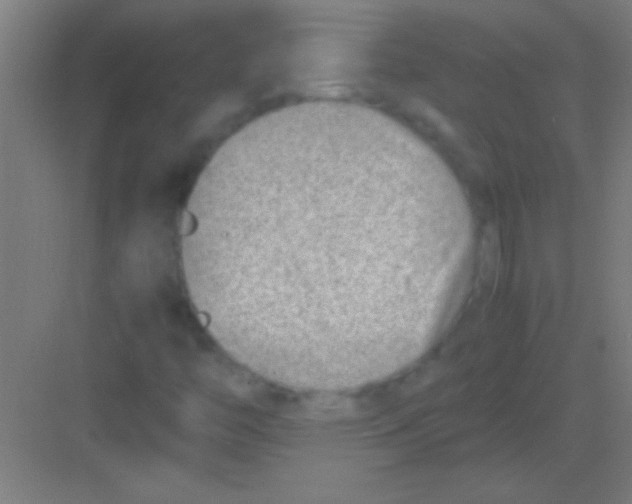 X0000081291446200702082006