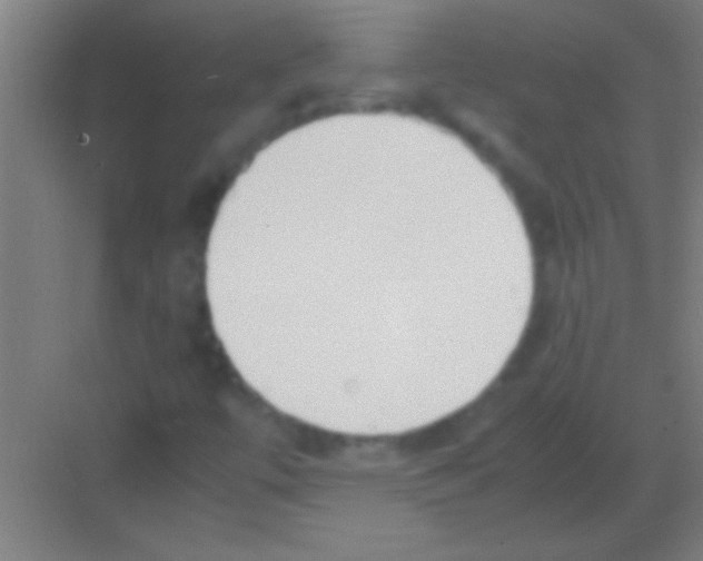 X0000081291447200702082006