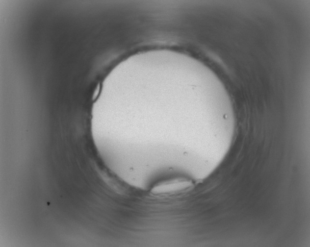 X0000081291448200702082006