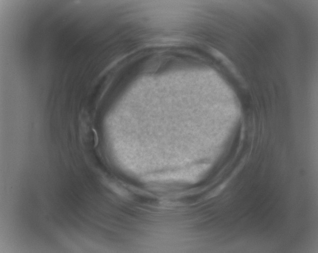 X0000081291449200702082006