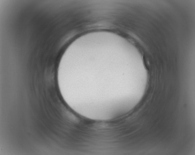 X0000081291450200702082006