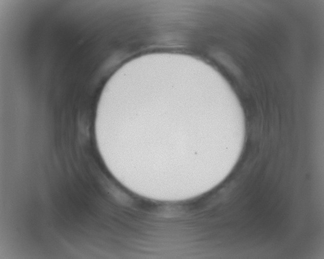 X0000081291451200702082006