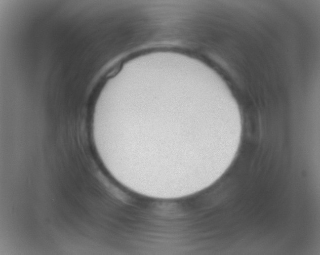 X0000081291452200702082006