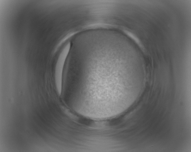 X0000081291453200702082006