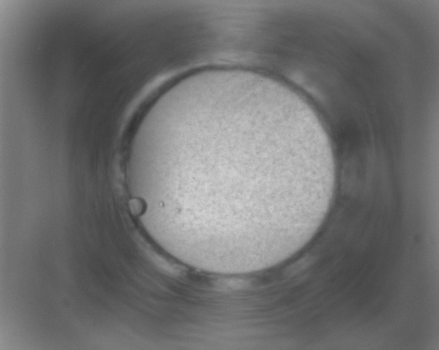 X0000081291454200702082006