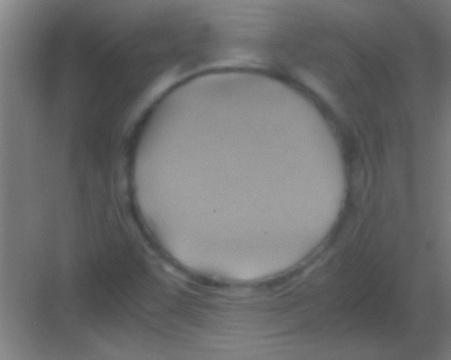 X0000081291455200702082006