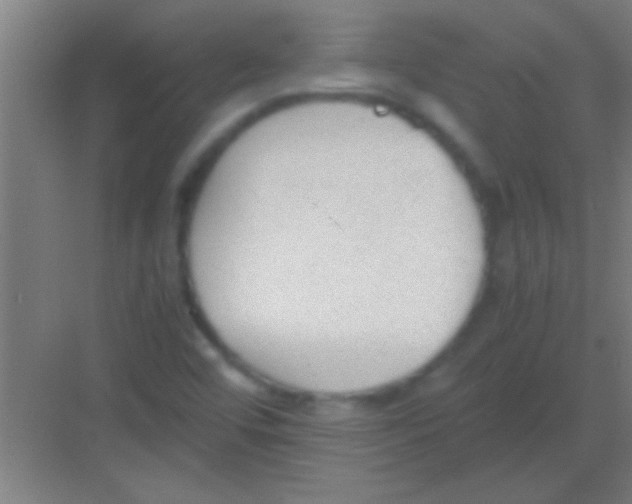 X0000081291456200702082006