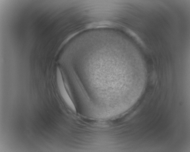 X0000081291457200702082006