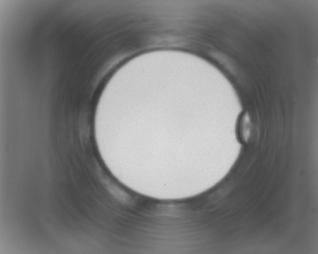 X0000081291458200702082006