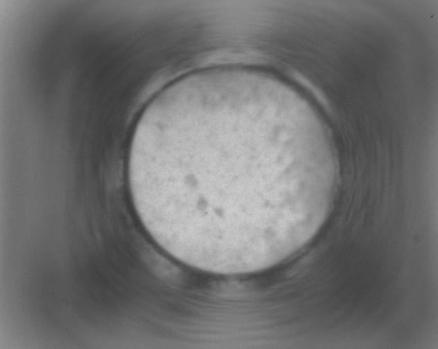 X0000081291459200702082006