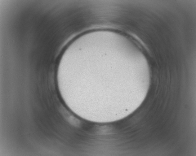 X0000081291460200702082006