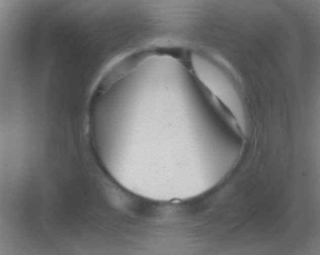 X0000081291461200702082006