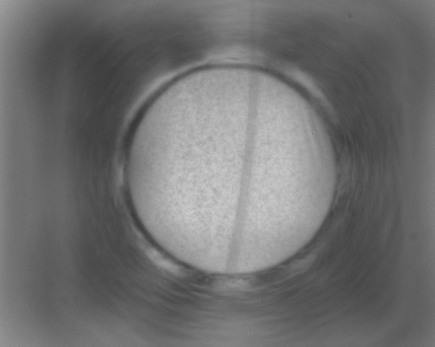 X0000081291462200702082006