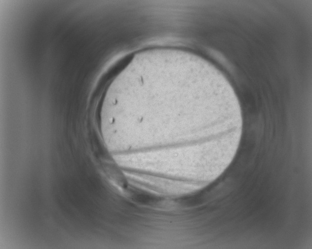 X0000081291463200702082006