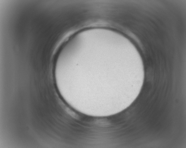 X0000081291464200702082006