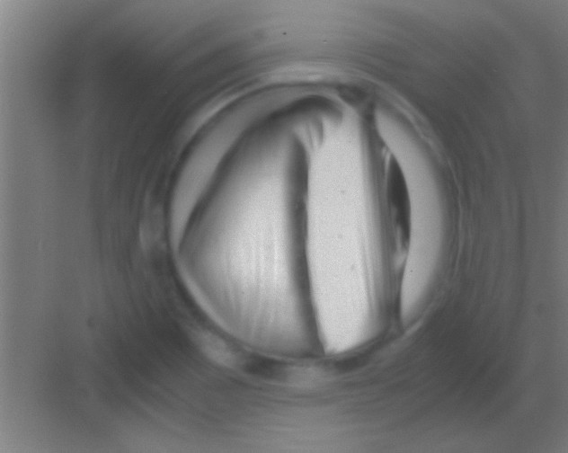 X0000081291465200702082006