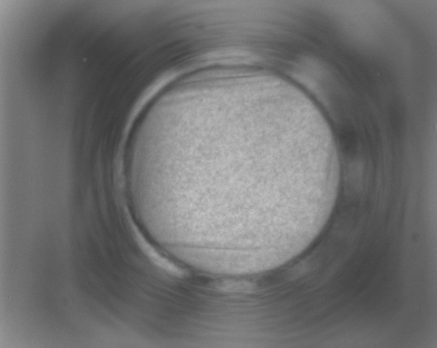 X0000081291466200702082006