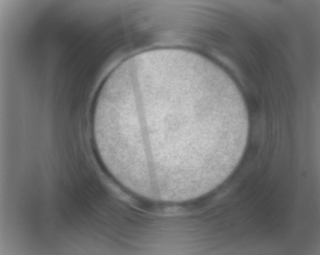 X0000081291467200702082006