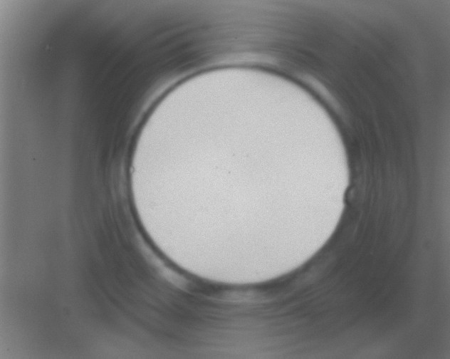 X0000081291468200702082006