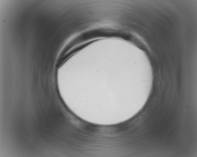 X0000081291469200702082006