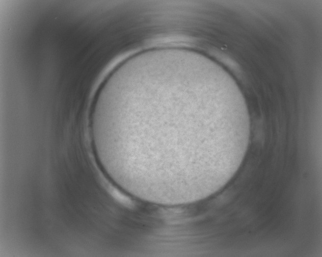 X0000081291470200702082006