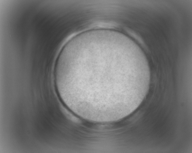 X0000081291471200702082006