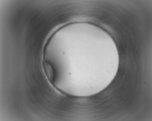 X0000081291472200702082006