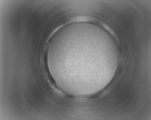 X0000081291473200702082006