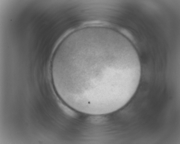 X0000081291474200702082006