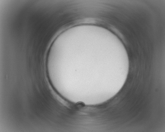 X0000081291475200702082006