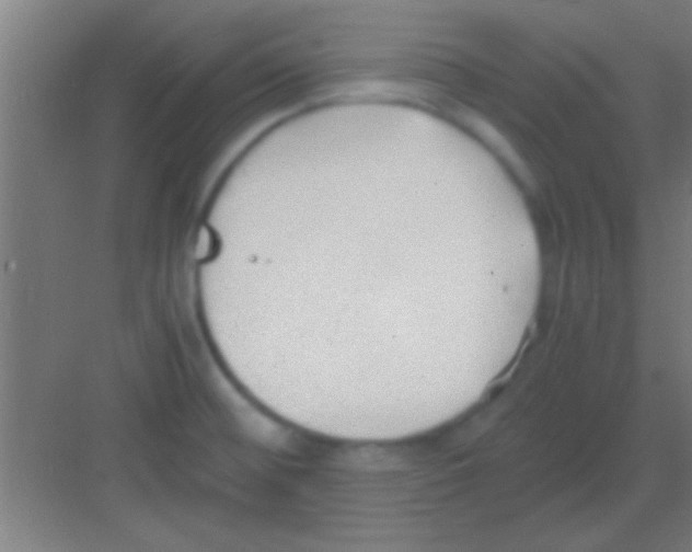 X0000081291476200702082006