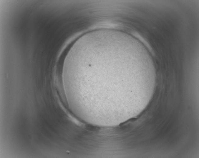 X0000081291477200702082006