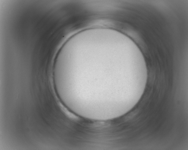 X0000081291478200702082006