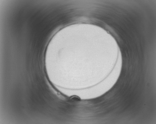 X0000081291479200702082006