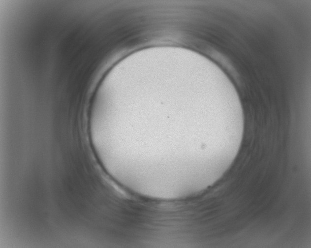 X0000081291480200702082006