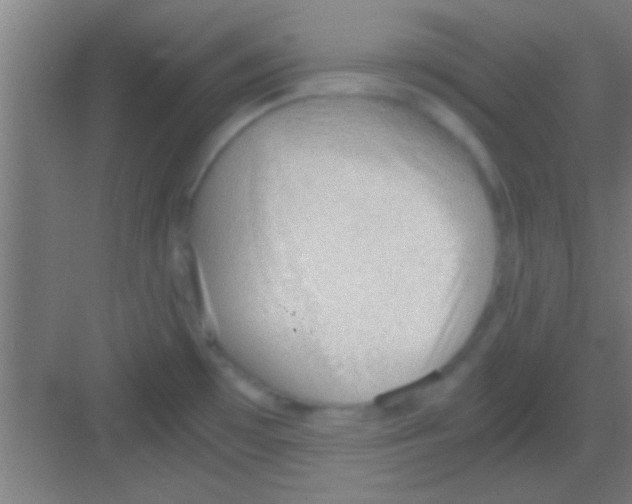 X0000081291481200702082006