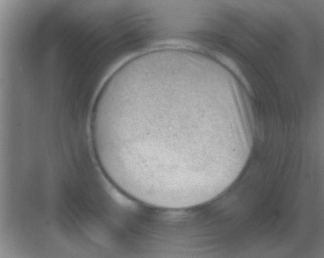 X0000081291482200702082006