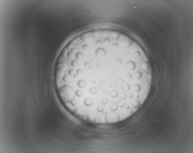 X0000081291483200702082006