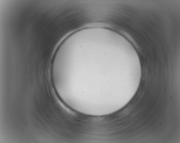 X0000081291484200702082006