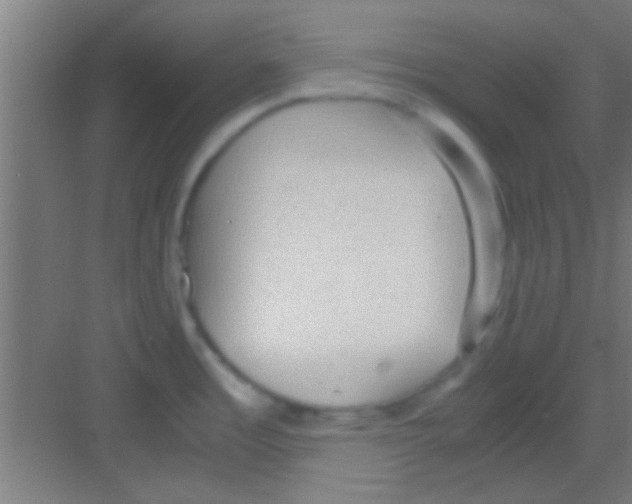 X0000081291485200702082006